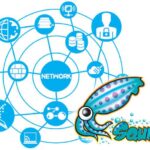 proxy server yang populer saat ini adalah