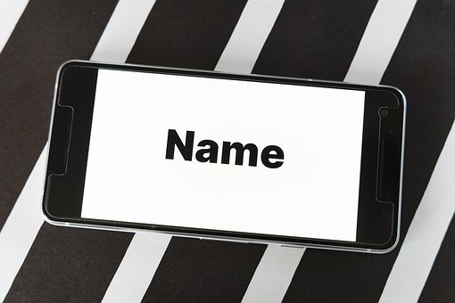 Domain Name Untuk Badan Dunia Yaitu